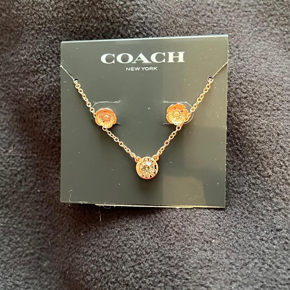 Coach earrings and necklace it